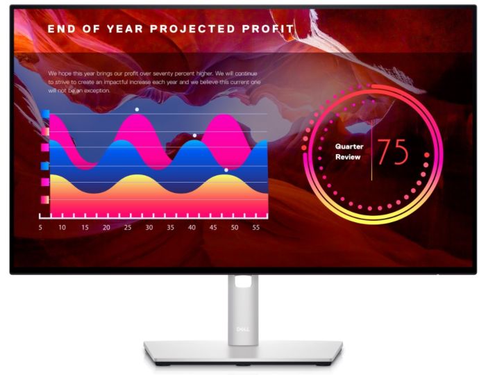 Dell  UltraSharp 24 Monitor - U2422H